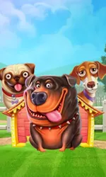The Dog House